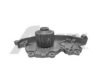 RENAU 7700106101 Water Pump